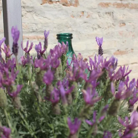 Çiftlik konaklama Agriturismo Levandara